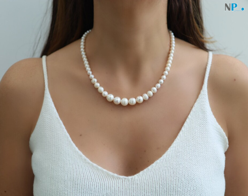 Découvrez les Prix des Colliers en Perles de Culture : Élégance et Raffinement au Rendez-vous