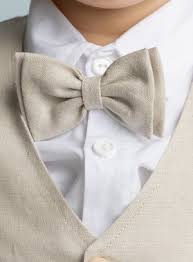 Élégance en un nœud : LeCoqEnPap.fr, votre destination pour le noeud papillon parfait!